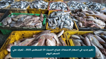 تغير جديد في أسعار الأسماك صباح السبت 23 أغسطس 2025.. تعرف على السعر اليوم
